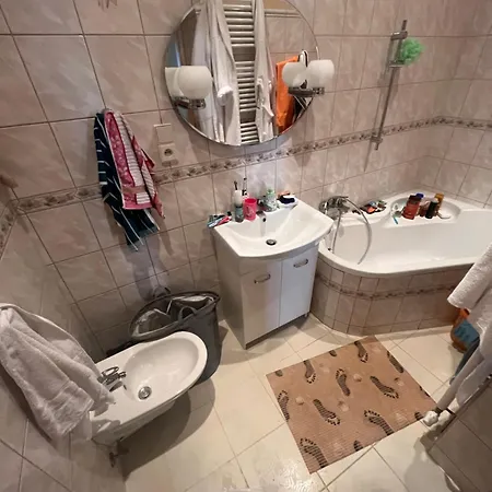 Apartment Kомната в квартире Karlovy Vary